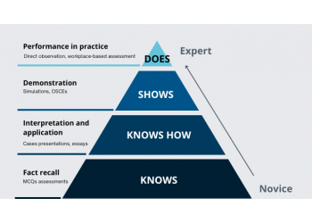 Practicum Process Practicum Script - simulator for the training of clinical reasoning